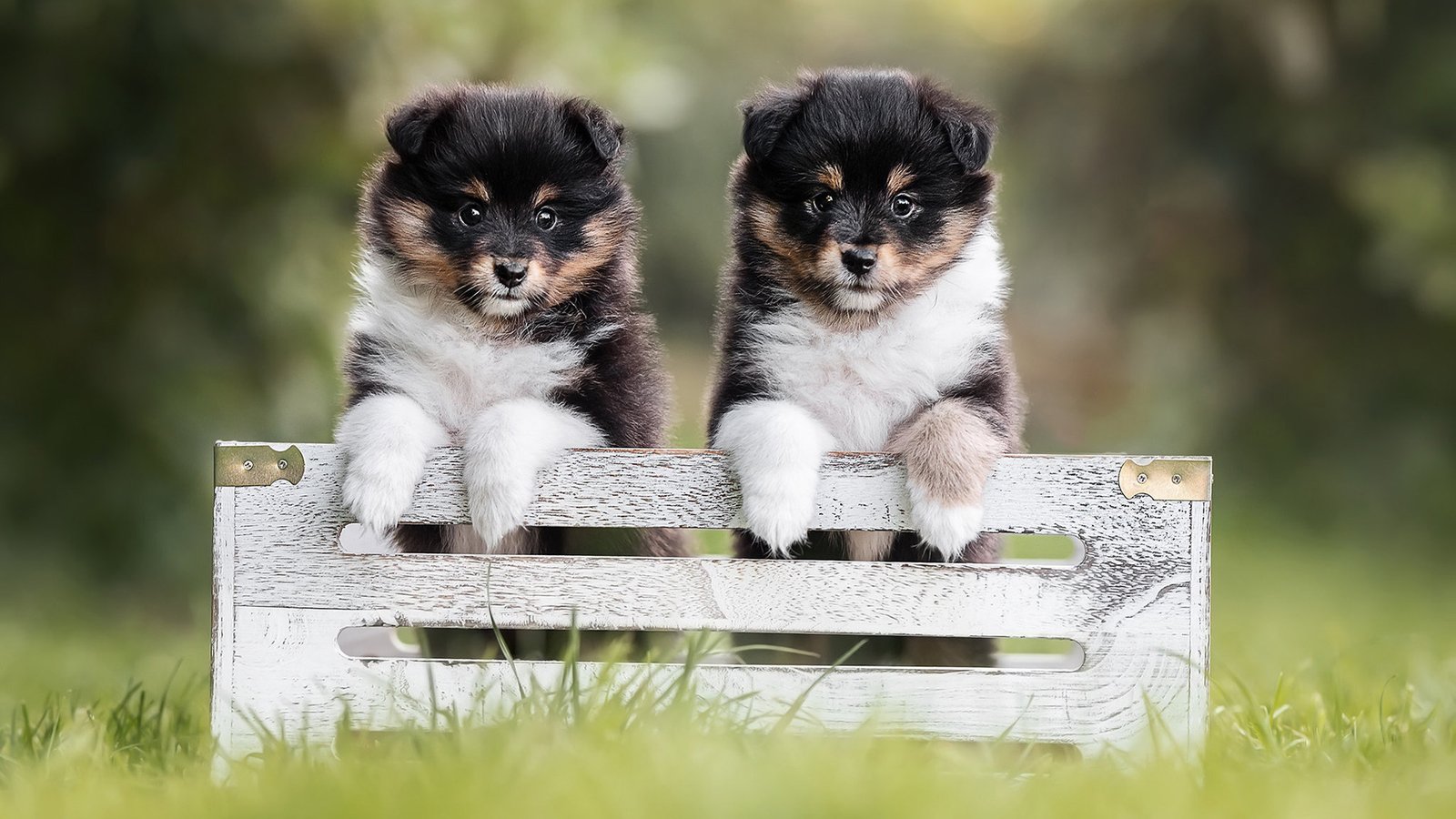 网站被攻击怎么办?网站被攻击的解决办法