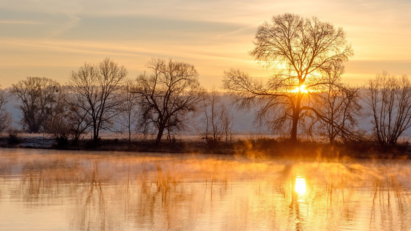 谷歌搜索收录百万,不做外贸也是没用的