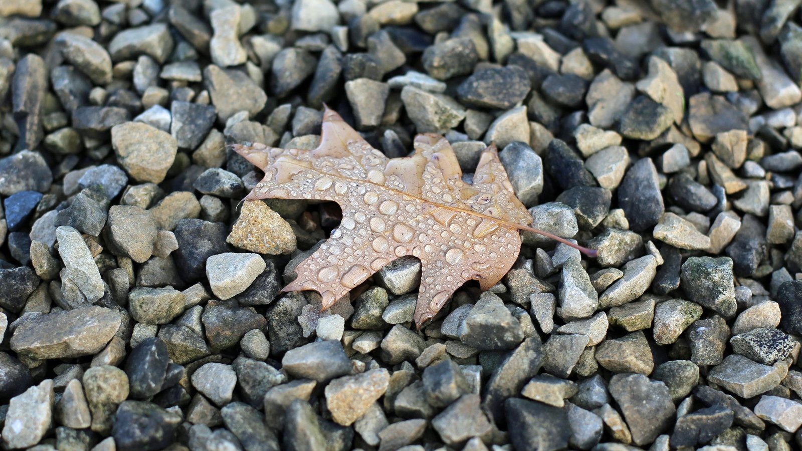 域名代备案是真的吗?为什么尽量不要找域名代备案