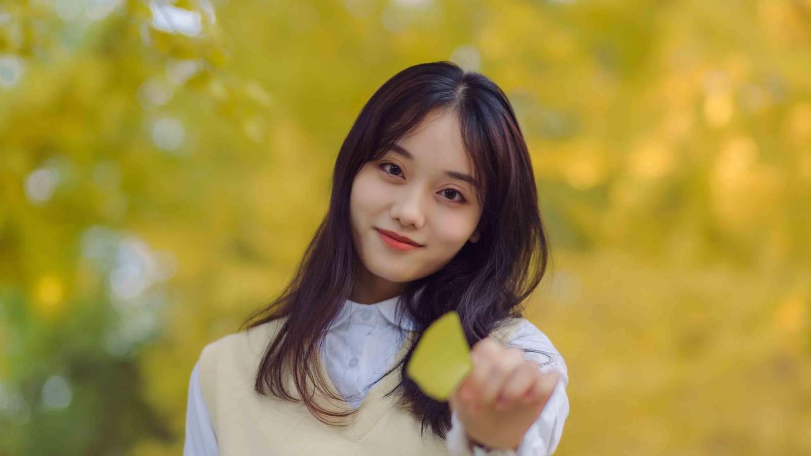 DeDeBIZ 免登录定时随机间隔发布TXT文档