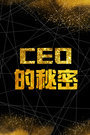 CEO的秘密 第一季