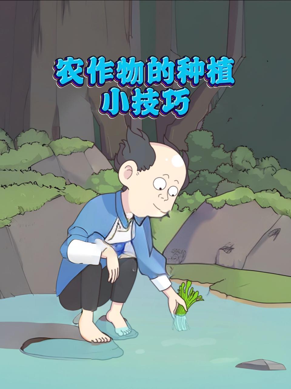 农作物的种植小技巧