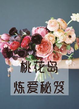 桃花岛炼爱秘笈
