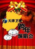 天津卫视2013跨年晚会