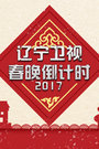 辽宁卫视春晚倒计时 2017