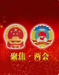 2020十三届全国人大三次会议闭幕会