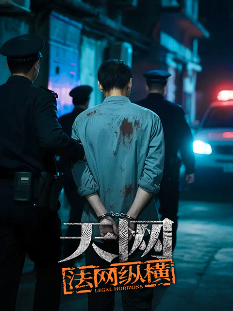 天网：法网纵横