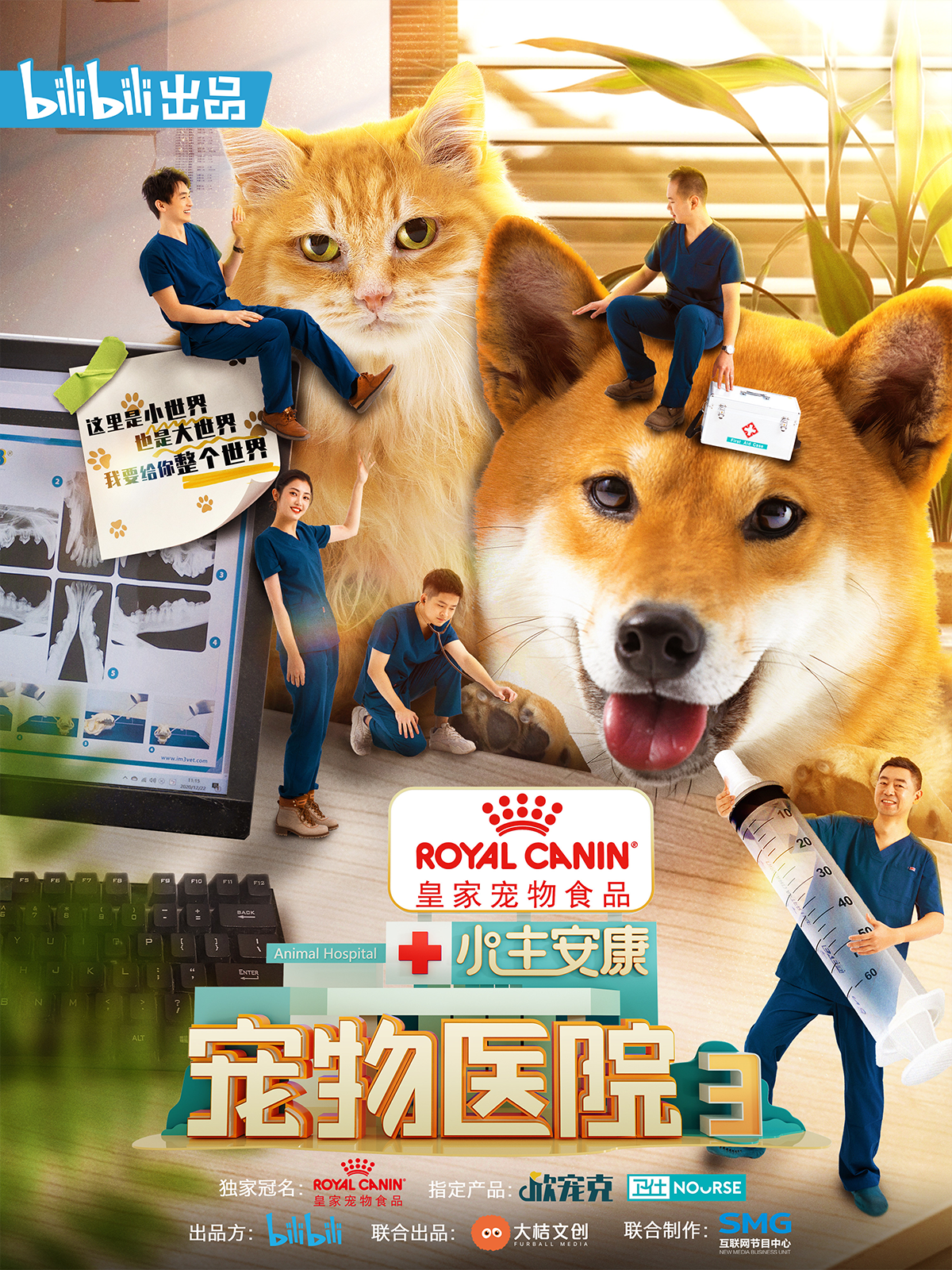 小主安康-宠物医院3