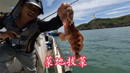 岛民阿杰玩海钓第二季