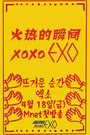 火热的瞬间XOXO EXO 2014