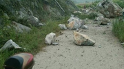 л | Щ¶“”
