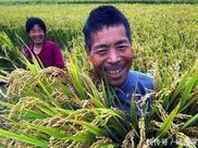 农村户口到城里买了楼房以后,在村里的宅基地要不要收回该看看!