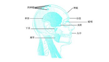 督脉穴