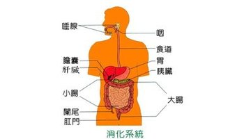 胰腺癌最早由mondiare及battersdy叙述.