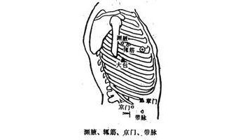 渊腋