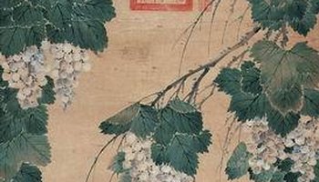 葡萄图
