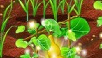 黄葫芦