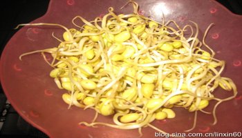 自发黄豆芽
