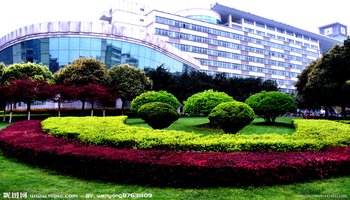 四川农业大学风景园林学院