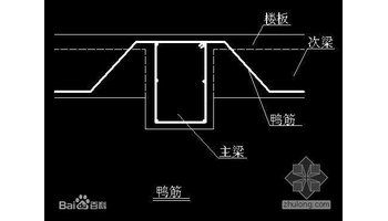 鸭筋