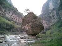 金口河区