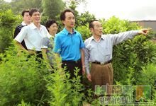 石沱镇