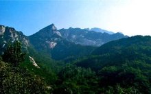 罗山森林公园