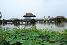 徐州金龙湖