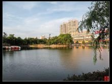 皋城风景