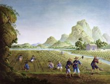 中原农业