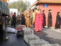 上海江宁路999图片