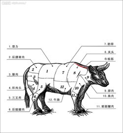 上面两个牛底下一个牛念什么字 牛念升学入学