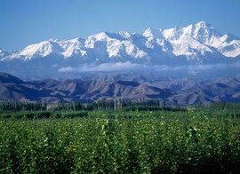 霍拉山