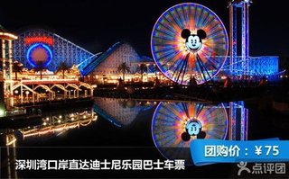 游惠宝深圳湾口岸-香港迪士尼乐园直通巴士