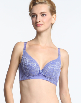 金线刺绣<em>紫蓝色</em>全杯调整型聚拢<em>文胸</em> - <em>文胸</em>/女