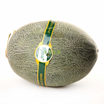 天山一号哈密瓜 1粒装 1.8kg - 水果叉\/水果签\/餐