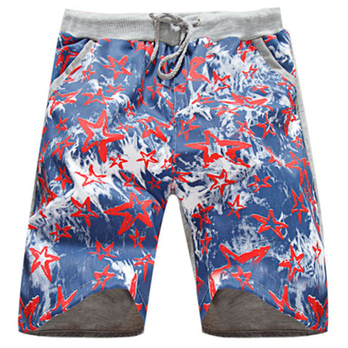 奋邦休闲沙滩裤夏威夷男士海边短裤吸汗透气夏