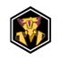 疯狂蜘蛛.png