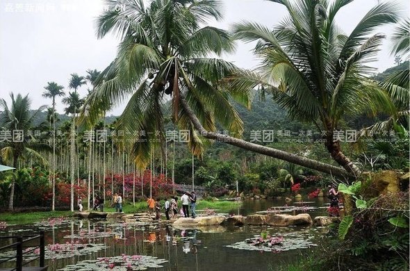 呀诺达票1张+观光大巴+电子导游器,不限出团人