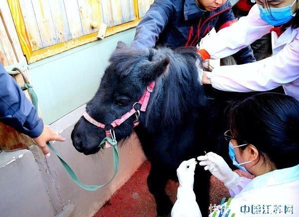 体检需要身份证吗