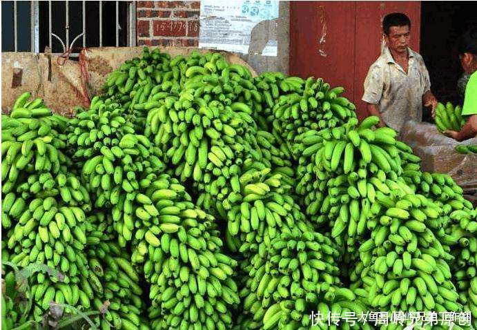 在广西想吃香蕉真的不用偷 香蕉价格便宜 几块