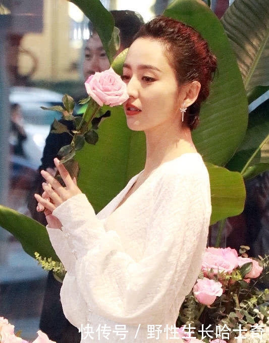 人比花娇!佟丽娅穿白裙美若仙子,同鲜花比美