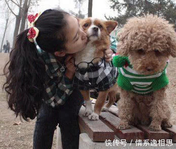 搞笑GIF图:泰迪的图片真a图片啊简单的表情表情卡通包图片图片