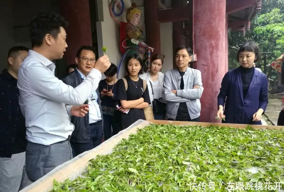 蒙顶山茶惊艳意大利米兰,金花藏茶获得米兰国