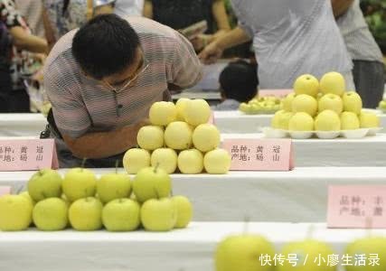 果农水果卖不掉，市民却吃不起水果，其中的原因是什么？