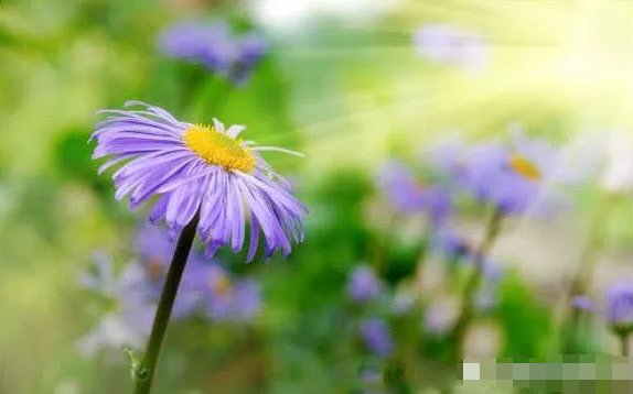 给孩子取名别再翻字典了,不妨翻翻中药名,好听