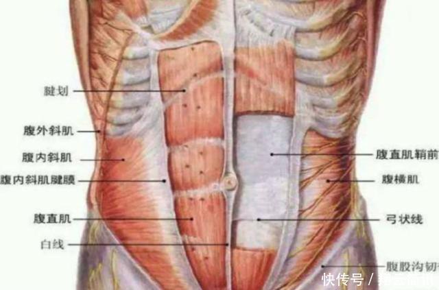 什么大部分女孩子的肚脐,下面都会有一条线医