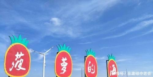 广东果农菠萝2毛一斤卖不出去, 超市水果却翻倍卖, 原因令众人难