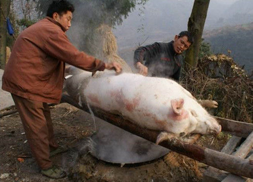 农村杀猪刮下来的猪毛，总有很多商贩来收购，原来是拿来做这事