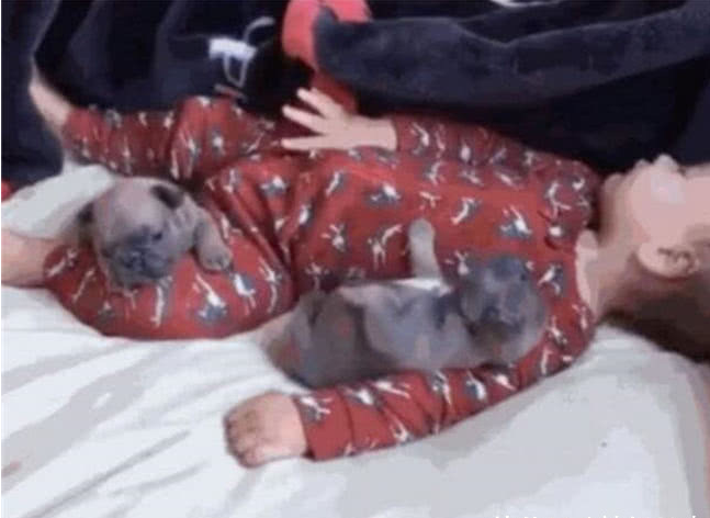 妈妈在厨房做饭,1岁宝宝独自玩,好久听不到动